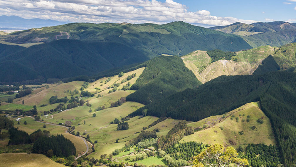 TourismNZ_feature
