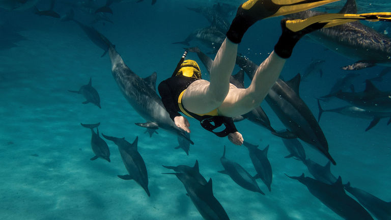 Maui is ideal for snorkeling excursions.