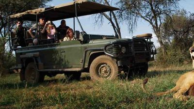 The Garden Route, Kruger National Park, the Limpopo district and the Kalahari Desert are among the distinct safari locations in South Africa. // © 2014 South Africa Tourism 2
