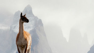 Spend a Month in South America