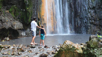 Educational Opportunities from Saint Lucia