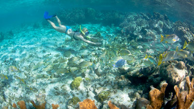 UNESCO World Heritage Sites offer enjoyable experiences for all kinds of travelers.