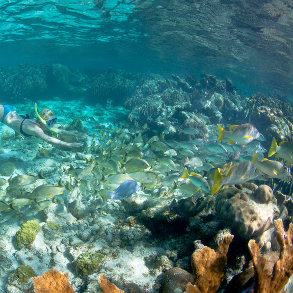 UNESCO World Heritage Sites offer enjoyable experiences for all kinds of travelers.