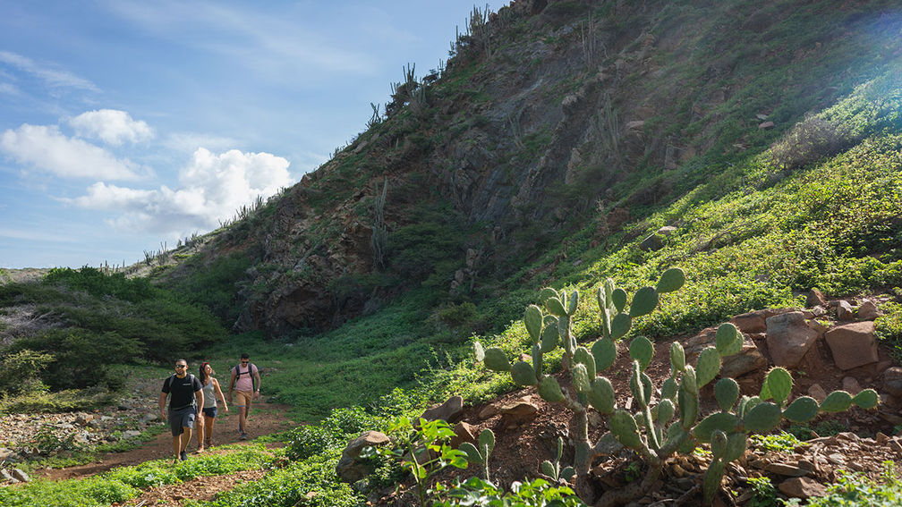 How Aruba Has Been Successful Since Reopening TravelAge West