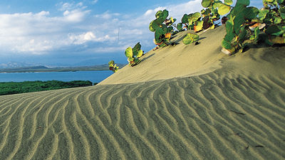 Pristine beaches and national parks with diverse flora and fauna await travelers who leave Punta Cana for the southwest region of the country. // © 2014 Dominican Republic Ministry of Tourism