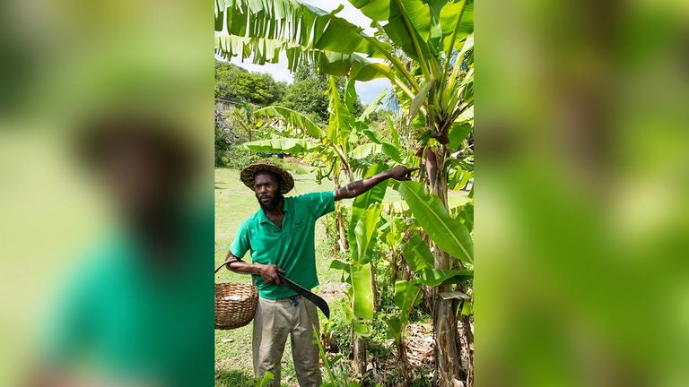 LessExploredCaribbean_Bequia2