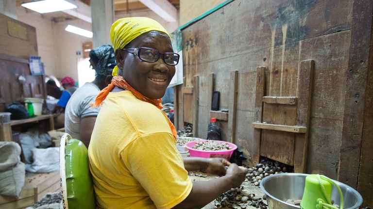 A local woman sorting nutmeg in Grenada