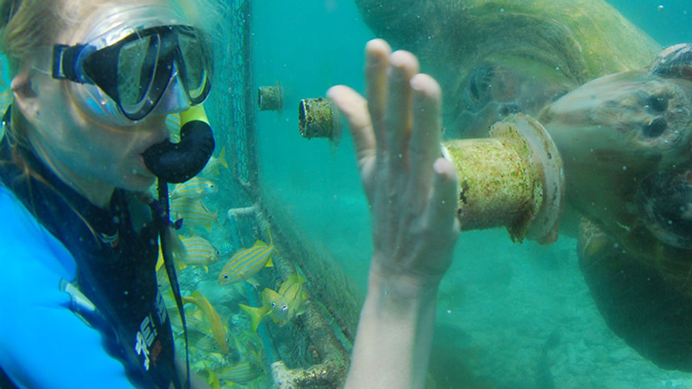 OceanEncounters_FEATURE
