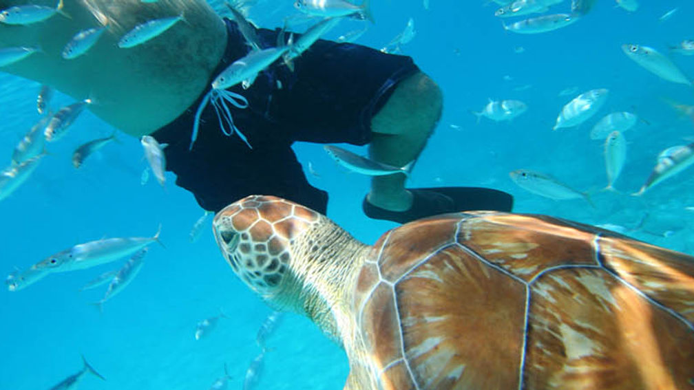 OutandAboutBarbados_FEATURE