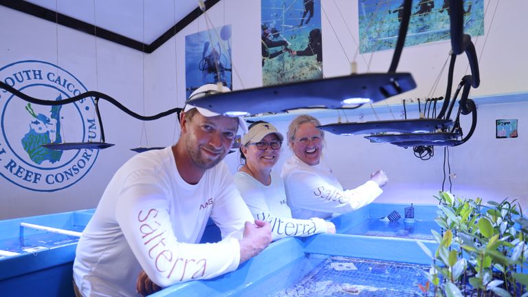 In South Caicos, Salterra partners with the School for Field Studies and the South Caicos Coral Reef Consortium to offer the Snorkel for a Cause program.