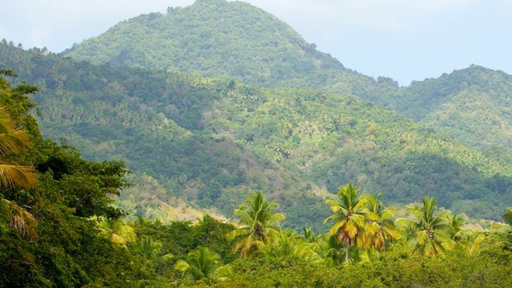 Dominica is nicknamed “The Nature Island” for its lush landscape. // © Discover Dominica Authority F