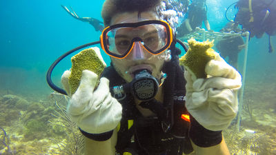 Voluntourism Opportunities in the Caribbean