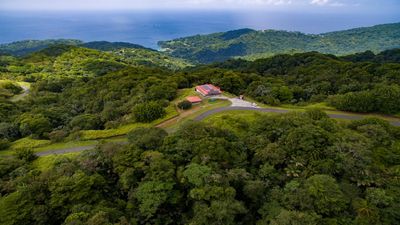 Tobago Main Ridge Forest Reserve is known for being home to more than 200 bird species.