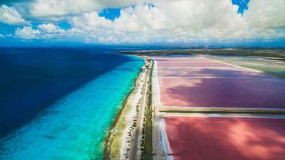 Bonaire, known for being a laid-back diver's paradise, is welcoming new hotels this year.