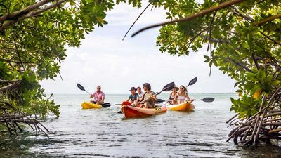 Bonaire is a great match for nature lovers.