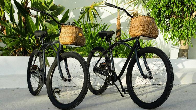 caerulabike