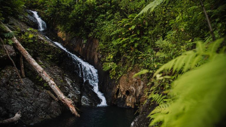 Discover Puerto Rico partnered with the Calm app to offer guided meditations featuring soundscapes from El Yunque rainforest.