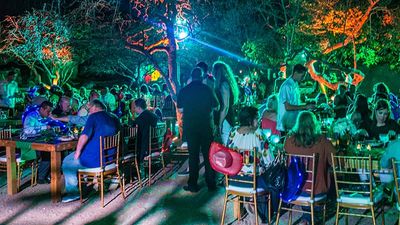 In partnership with Eco Destination Management, the hotel can organize a formal party at Ayo Rock Formations, a natural landmark. // © 2017 Hyatt Regency Aruba Resort & Casino