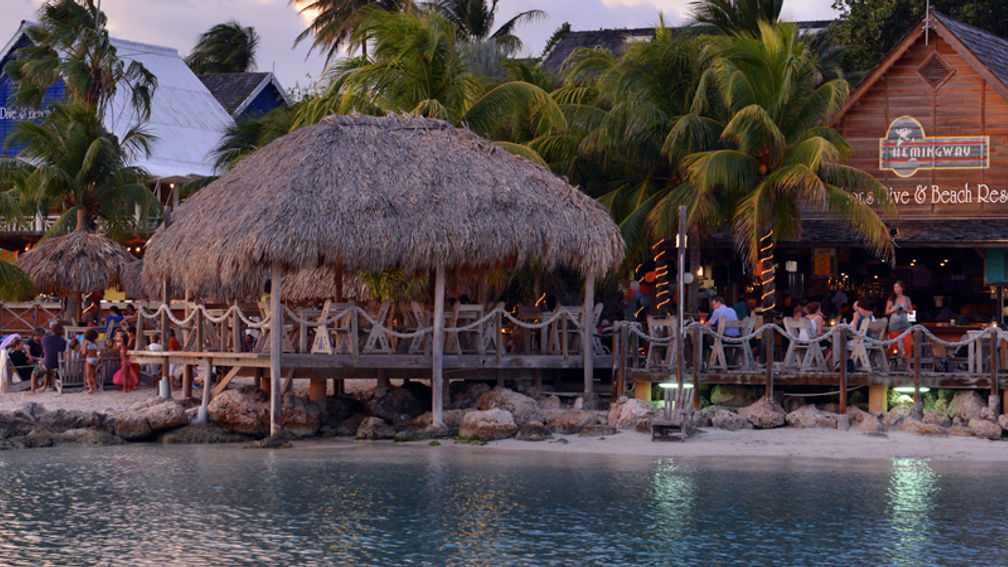 LionsDiveResort_FEATURE
