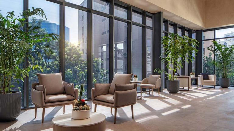 santodomingopiantini