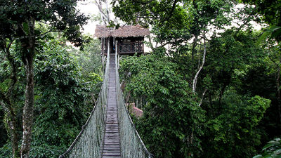 The canopy tree house is a secluded getaway that can be booked by Inkaterra resort guests for special occasions or overnight stays. // © 2014 Megan Leader