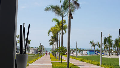 The all-inclusive property offers guests a taste of quintessential Panama, including palm trees and sandy beaches. // © 2015 Terra Judge