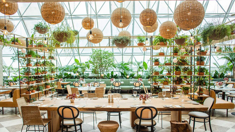 Terraco Jardins is located in a greenhouse-like setting. Terraco Jardins is located in a greenhouse-like setting.