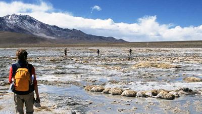 Explore Chile’s Atacama Desert with Ponant’s three-night land tour. // © 2015 iStock 3