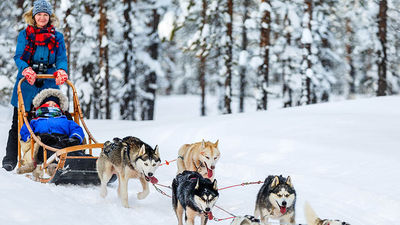 Excursions that feature adventure activities, such as dogsledding, are popular among cruisers. // © 2017 Shore Trips Excursions
