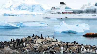 Seabourn Cruise Line offers expedition cruises in remote destinations such as Antarctica. // © 2014 Seabourn