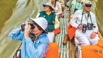 The company offers 10-day cruises onboard the 28-guest Delfin II in the Peruvian Amazon. // © 2017 Lindblad Expeditions - National Geographic