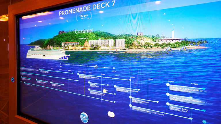 Via public portals, passengers can access a voyage timeline.