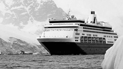 Guests onboard Holland America Line’s Veendam on South America and Antarctica Explorer cruises have the option of photographing local penguins. // © 2013 Holland America Line F