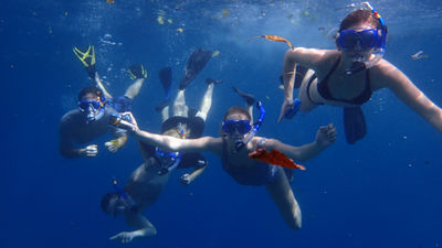Clients have opportunities to snorkel.