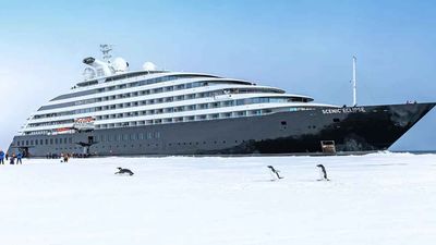 Scenic Eclipse is well-suited for Antarctica sailings.