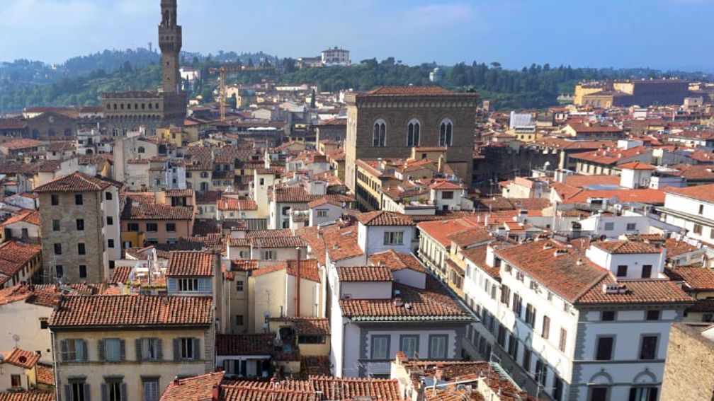 A view of Florence from above // © 2016 Valerie Chen 2