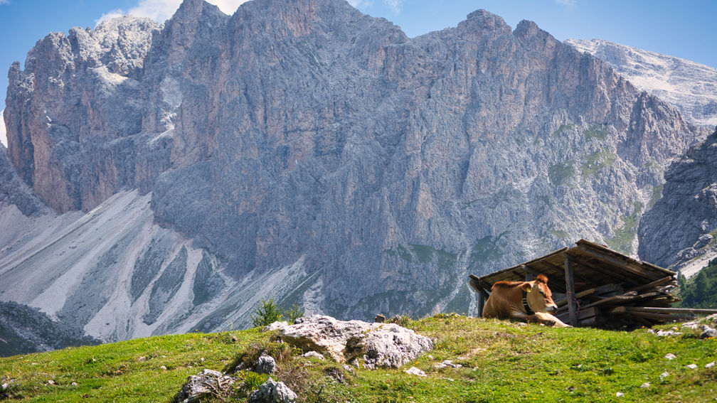 Review: Trek Travel’s Dolomites Hiking & Walking Tour