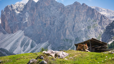 The trip allows guests to see the region’s best trails, cuisine and experiences that go well beyond hiking.