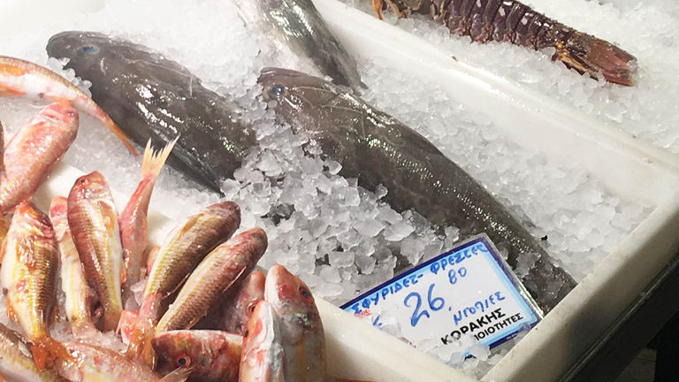The tour may take groups to a local meat and fish market.