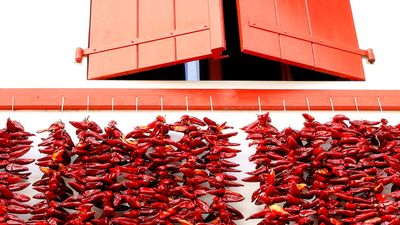 Red peppers are hung to dry nearly everywhere in the French village of Espelette. // © 2014 Thinkstock