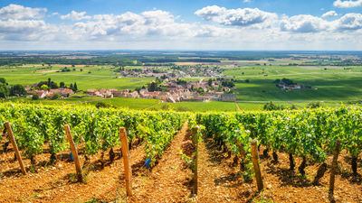 Fam: Burgundy, France, With Exodus Travels