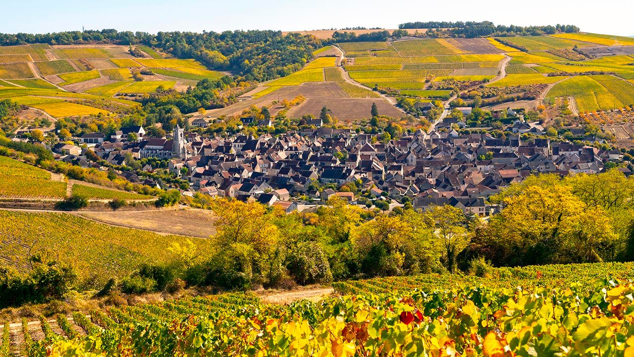 Burgundy, France, is known for its bucolic landscape.