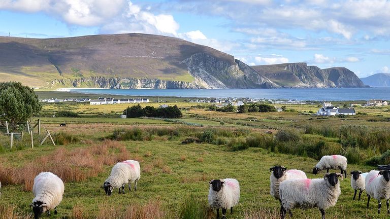 Clients can discover Achill Island with Celtic Journeys.