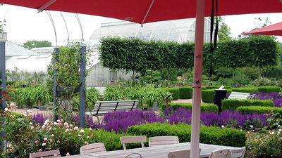 While at the Tradgardsforeningen botanical garden, stop at the Rose Cafe for some rest and pastries. // © 2015 Lena Katz
