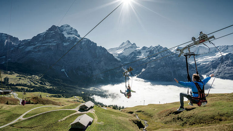 Warm-weather activity options include alpine ziplining.