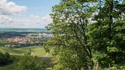 Wine production in Iphofen spans approximately 716 acres. // © 2017 Iphofen Tourist Information Center
