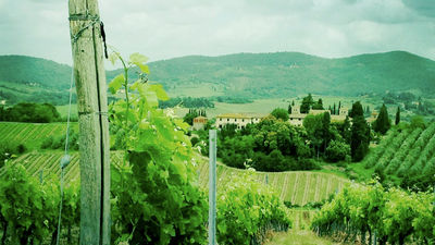 A scooter tour is a great way to explore hillside towns around Florence. // © 2014 Ward Nipper