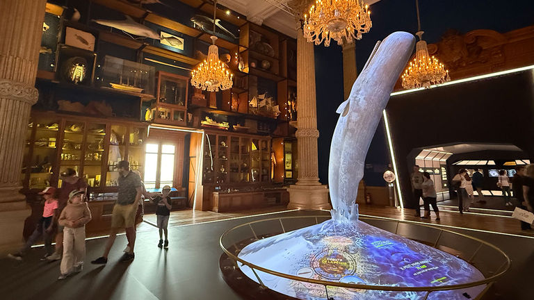 The Oceanographic Museum is a must-visit for its collection of natural objects and oceanographic instruments, high-tech exhibits and an aquarium full of marine life.