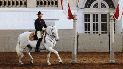 Spanish Riding School is the oldest riding school in the world to practice classic equestrian skills in their original form. // © 2016 Vienna Tourist Board