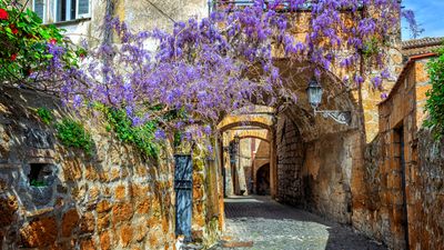 Travelers can enjoy a variety of day trips from Rome.